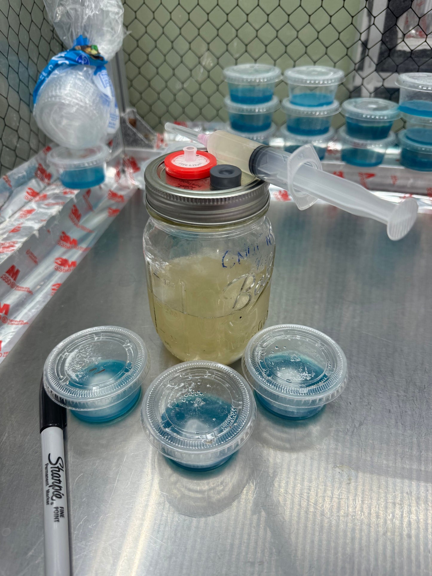 Turkey Tail Mushroom Liquid Culture Syringe - Appalachian Wild Specimen