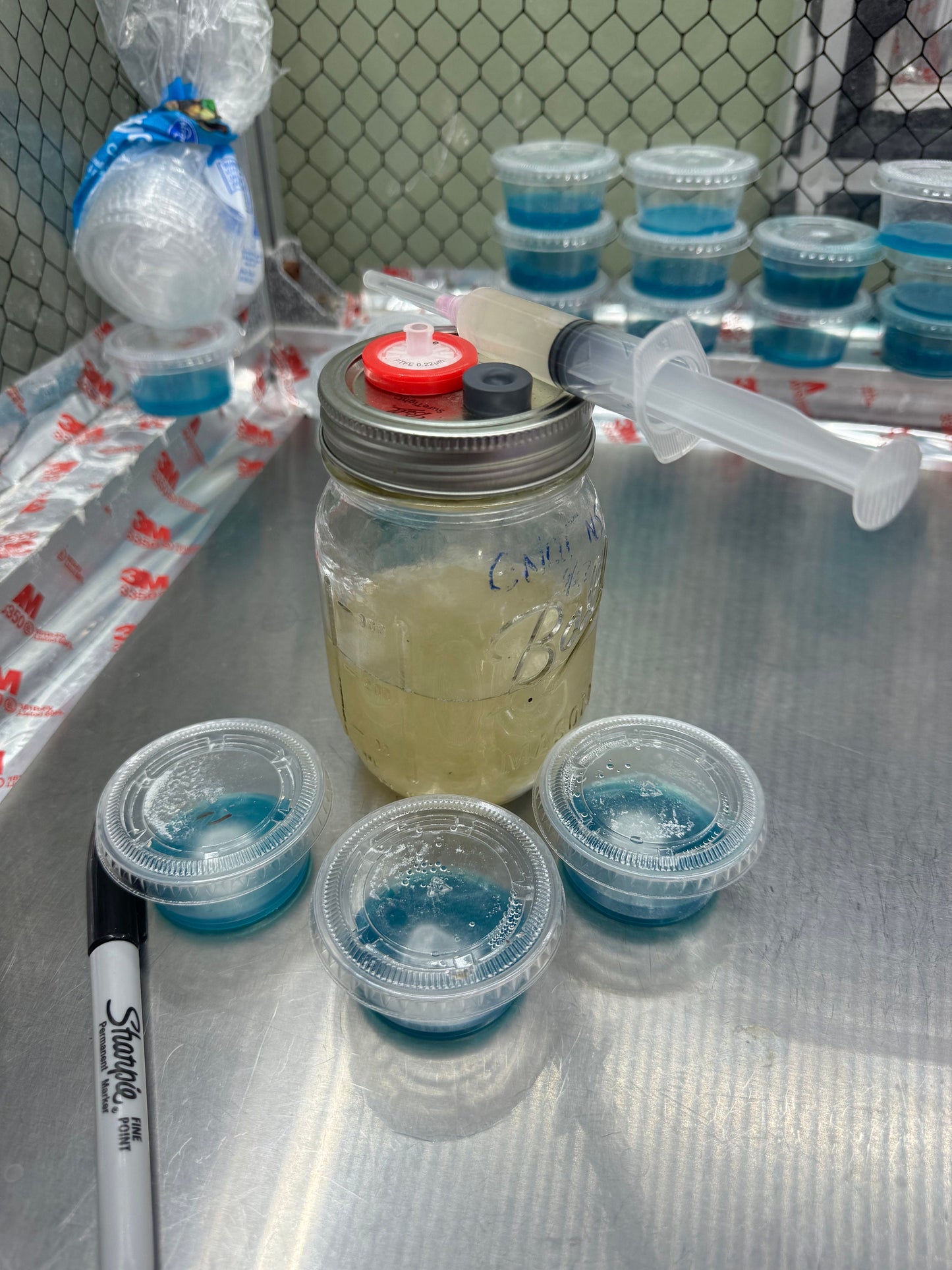 Nameko Mushroom Liquid Culture Syringe:  Grow DIY