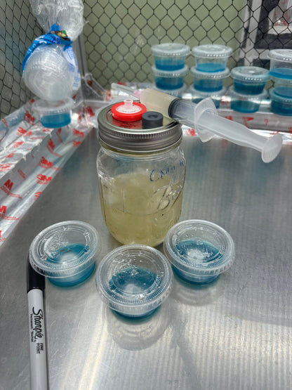 Nameko Mushroom Liquid Culture Syringe:  Grow DIY