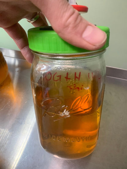 Turkey Tail Mushroom Liquid Culture Syringe - Appalachian Wild Specimen
