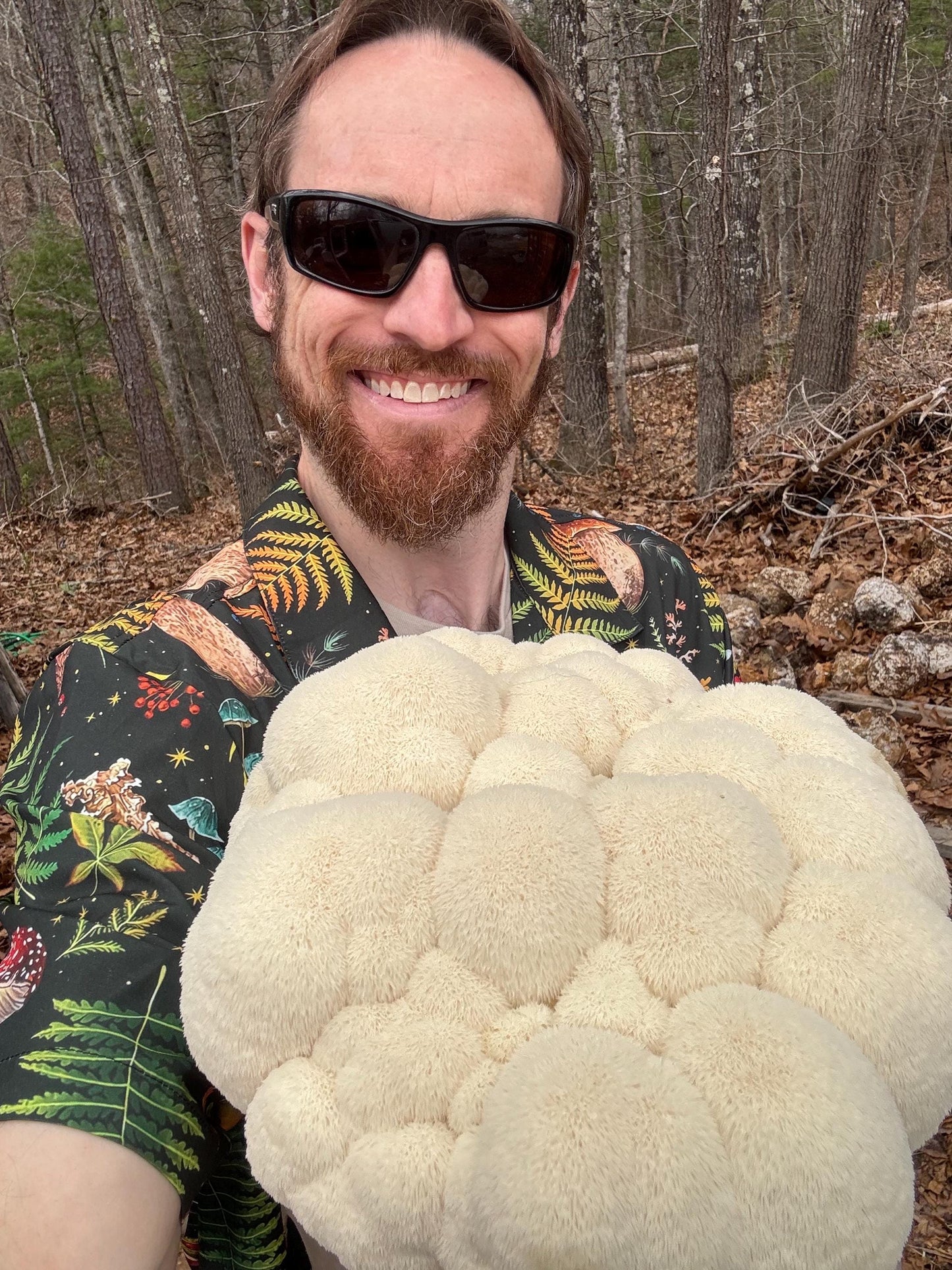 4 Mushroom Blend Powder: Lion's Mane, Cordyceps, Reishi, Turkey Tail