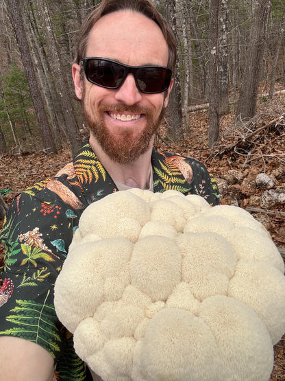 4 Mushroom Blend Powder: Lion's Mane, Cordyceps, Reishi, Turkey Tail