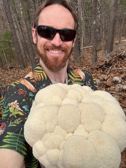 Lion's Mane Mushroom Extract Powder: Appalachian Grown Brain Booster