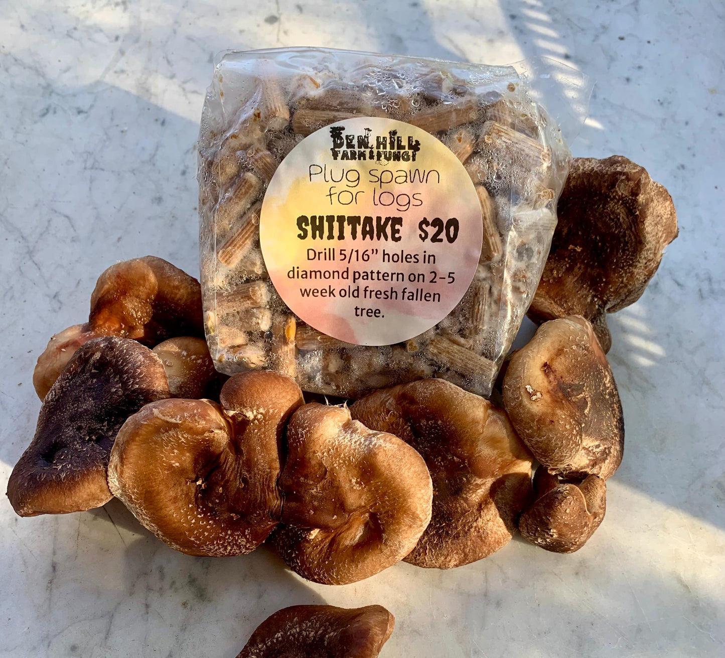 Shiitake Plug Spawn: #1 Log Producer, Fast Yielding