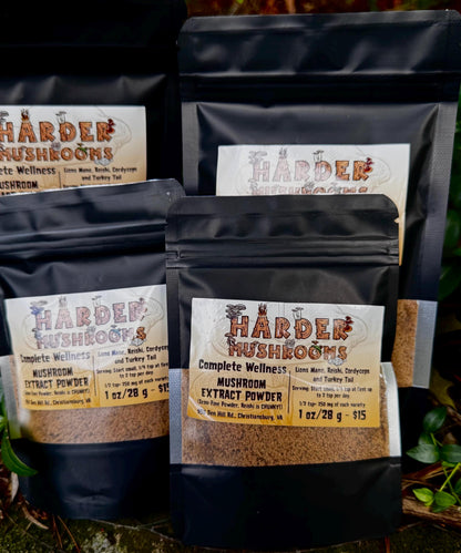 4 Mushroom Blend Powder: Lion's Mane, Cordyceps, Reishi, Turkey Tail