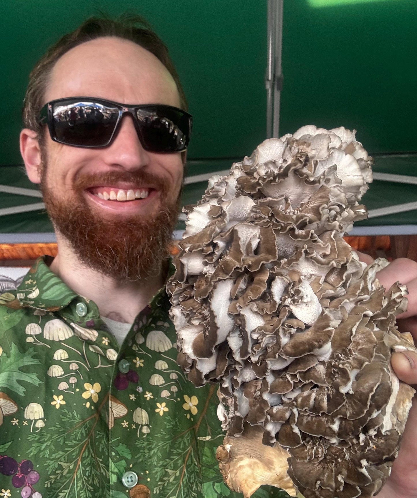 Immune Synergy 4:1 Functional Mushroom Extract - Reishi, Turkey Tail, Maitake (Hen-of-the-woods) and Shiitake