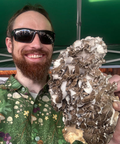 Immune Synergy 4:1 Functional Mushroom Extract - Reishi, Turkey Tail, Maitake (Hen-of-the-woods) and Shiitake
