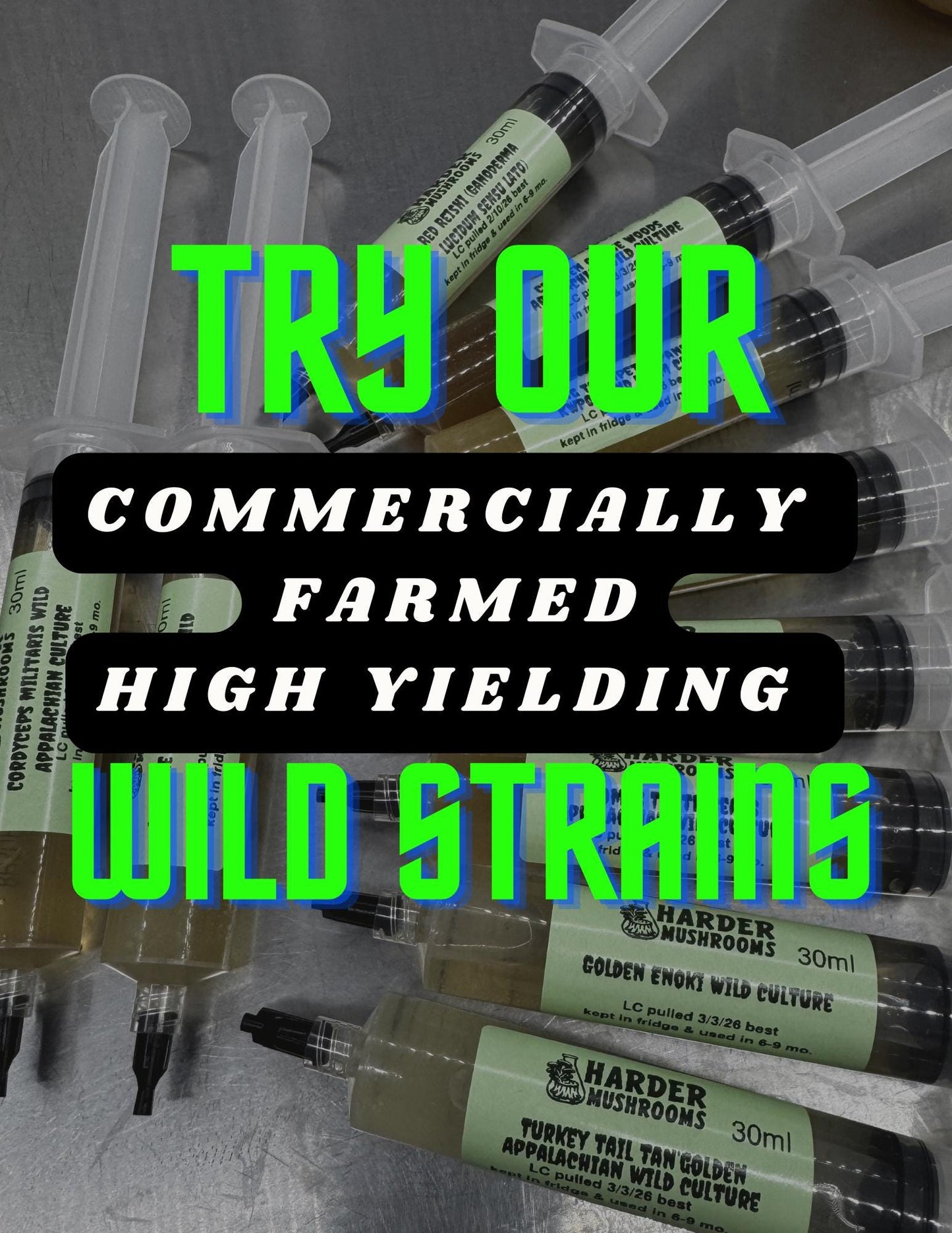 Purple Olive Oysterling Mushroom Liquid Culture Syringe:  Grow Your Own