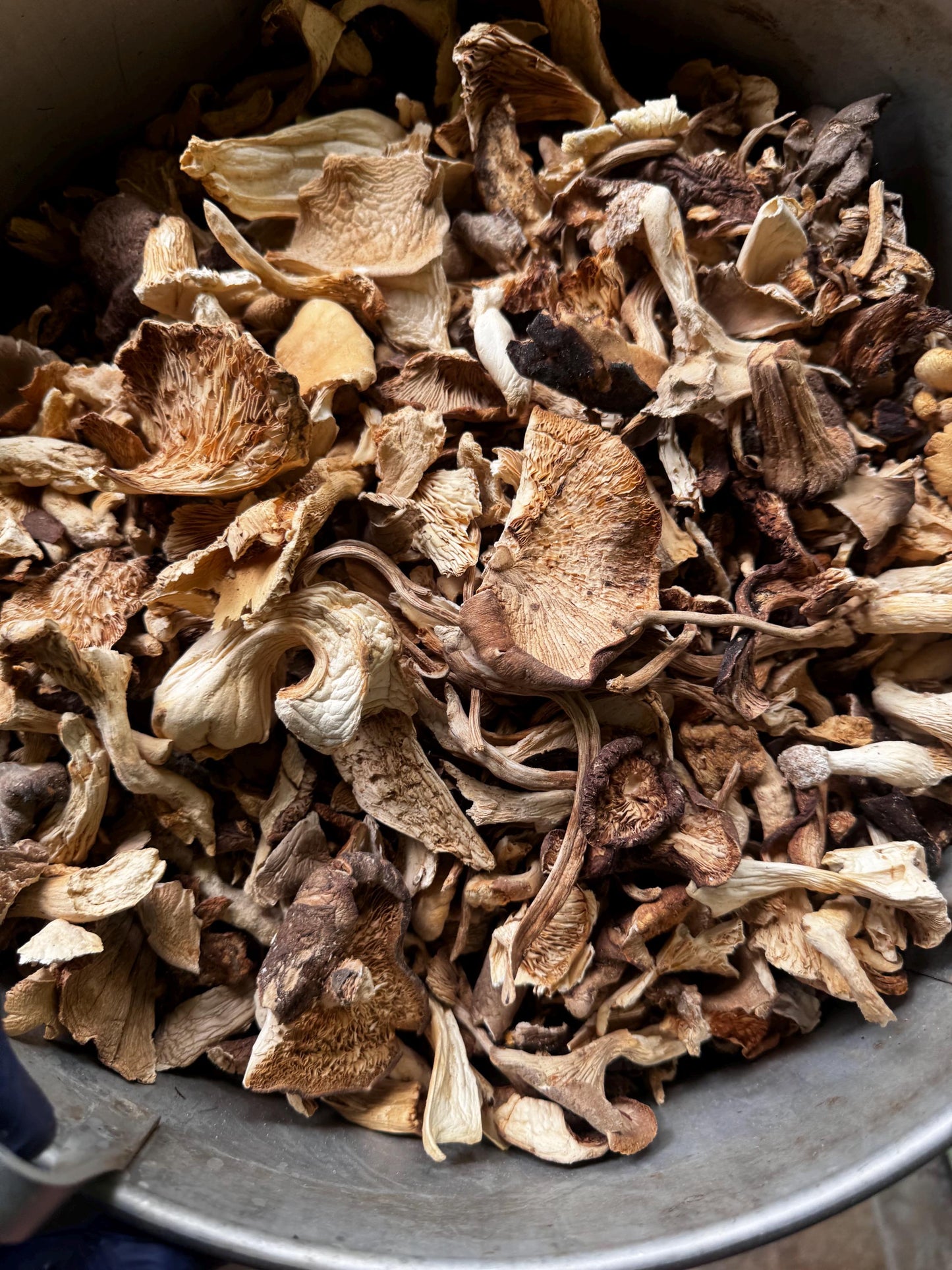 Bulk Gourmet Mixed Dried Mushrooms, USA Grown Blend (Lion's Mane, Oyster, King, Shiitake, Chestnut…)